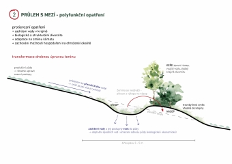 Obnova krajinných prvků na poli pod Hradišťskou vyhlídkou PARO_2024_POLE17.jpg.